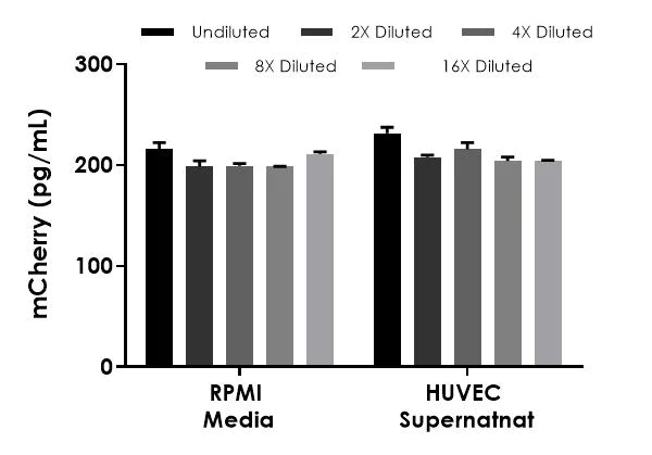 Sandwich ELISA - mCherry ELISA Kit, Chemiluminescent (AB325452)