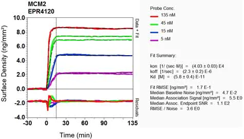 OI-RD Scanning - Anti-MCM2 antibody [EPR4120] - BSA and Azide free (AB226044)