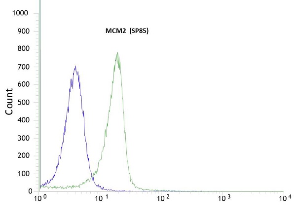 Flow Cytometry (Intracellular) - Anti-MCM2 antibody [SP85] (ab95361), expandable thumbnail