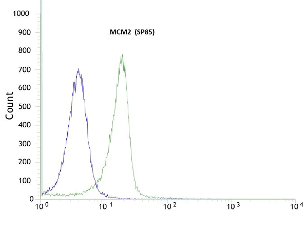 Flow Cytometry (Intracellular) - Anti-MCM2 antibody [SP85] (AB95361)