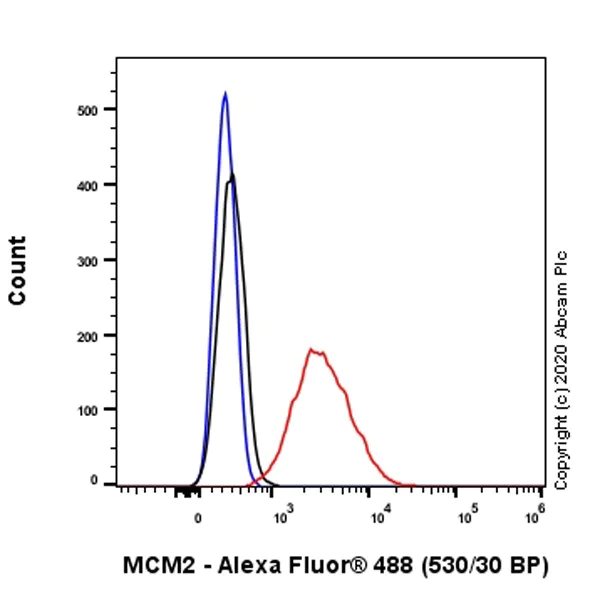 Flow Cytometry - Anti-MCM2 (phospho S108) antibody [EPR4121] - BSA and Azide free (AB247816)