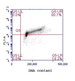 Flow Cytometry (Intracellular) - Anti-MCM2 (phospho S40 + S41) antibody (AB70371)