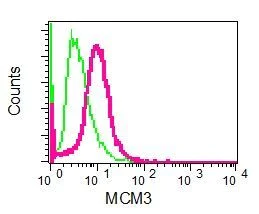 Flow Cytometry (Intracellular) - Anti-MCM3 antibody [EPR7081] - BSA and Azide free (AB248148)