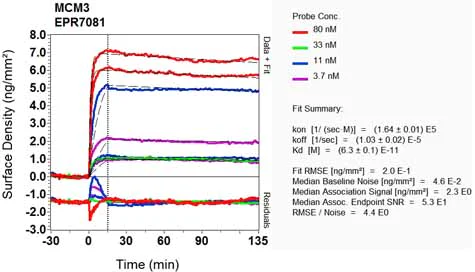 OI-RD Scanning - Anti-MCM3 antibody [EPR7081] - BSA and Azide free (AB248148)
