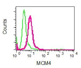 Flow Cytometry (Intracellular) - Anti-MCM4 antibody [EPR5245] - BSA and Azide free (AB248027)