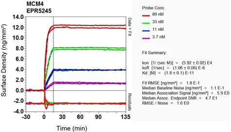 OI-RD Scanning - Anti-MCM4 antibody [EPR5245] - BSA and Azide free (AB248027)
