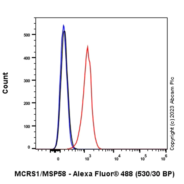 Flow Cytometry (Intracellular) - Anti-MCRS1/MSP58 antibody [EPR27229-81] (AB316109)