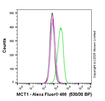 Flow Cytometry (Intracellular) - Anti-MCT1/Monocarboxylic acid transporter 1 antibody [EPR26702-83] (AB315382)