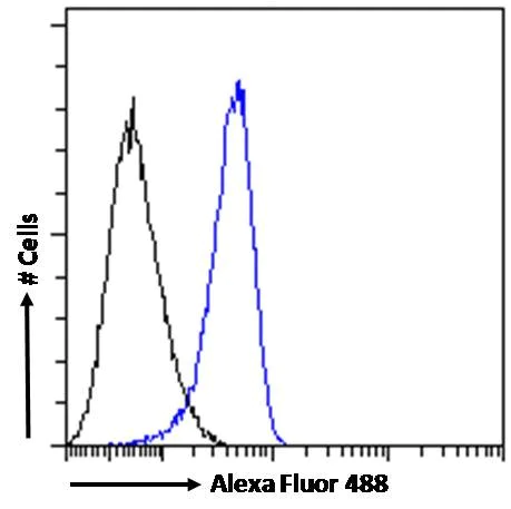 Flow Cytometry - Anti-MDA5 antibody (AB4544)