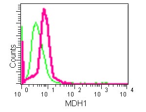 Flow Cytometry (Intracellular) - Anti-MDH1 antibody [EPR13596(B)] (AB181091)