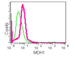 Flow Cytometry (Intracellular) - Anti-MDH1 antibody [EPR13596(B)] - BSA and Azide free (AB250339)