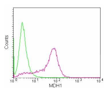 Flow Cytometry (Intracellular) - Anti-MDH1 antibody [EPR13597(B)] - BSA and Azide free (AB232190), expandable thumbnail