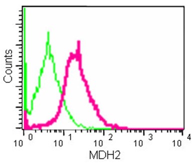 Flow Cytometry (Intracellular) - Anti-MDH2 antibody [EPR14883(B)] (AB181857)