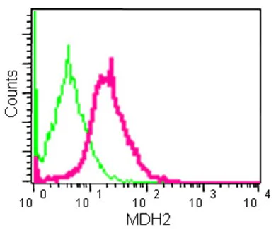 Flow Cytometry (Intracellular) - Anti-MDH2 antibody [EPR14883(B)] - BSA and Azide free (AB250528)