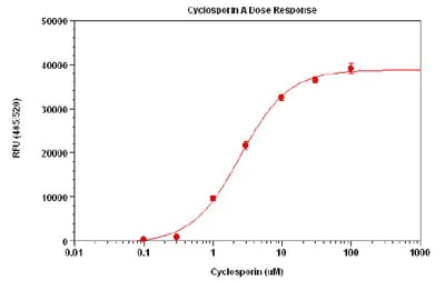 Functional Studies - MDR Assay Kit (Fluorometric) (AB112142)