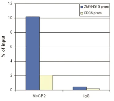 ChIP - Anti-MeCP2 antibody - ChIP Grade (AB195393)