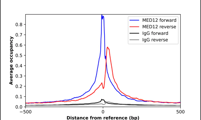 ChIP - Anti-MED12 Antibody (AB327176)