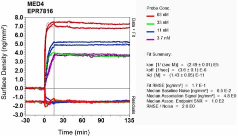 OI-RD Scanning - Anti-MED4 antibody [EPR7816] - BSA and Azide free (AB248327), expandable thumbnail