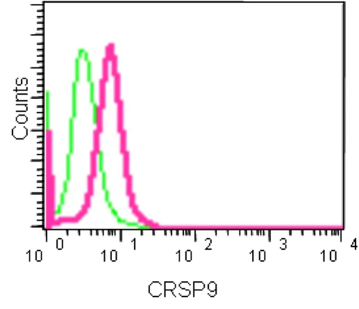 Flow Cytometry (Intracellular) - Anti-MED7 antibody [EPR15410] - BSA and Azide free (AB250909)