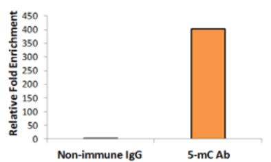 Purification - MeDIP Ultra Kit (AB185904), expandable thumbnail