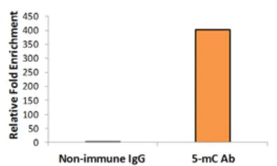 Purification - MeDIP Ultra Kit (AB185904)