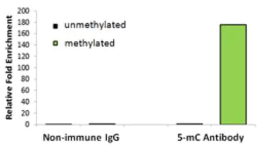 Purification - MeDIP Ultra Kit (AB185904)