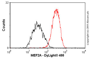 Flow Cytometry (Intracellular) - Anti-MEF2A antibody [EP1706Y] (ab76063), expandable thumbnail