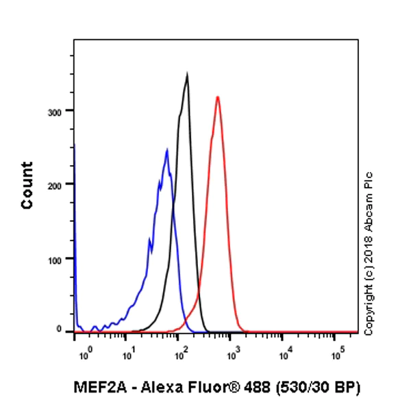 Flow Cytometry (Intracellular) - Anti-MEF2A antibody [EP1706Y] - BSA and Azide free (AB235999)