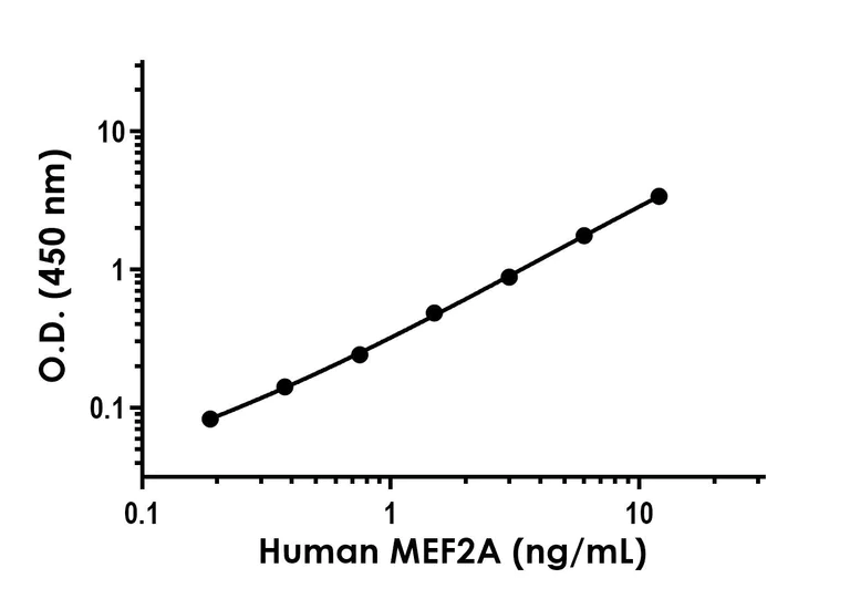 Sandwich ELISA - Anti-MEF2A antibody [EPR1451-15] - BSA and Azide free (Detector) (AB285146)