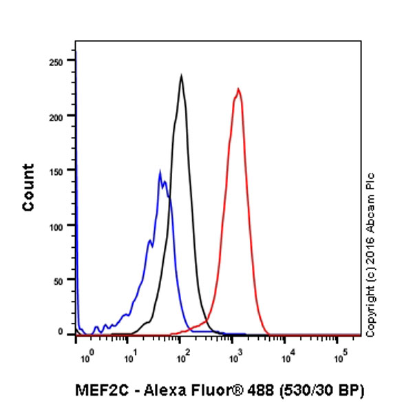 Flow Cytometry (Intracellular) - Anti-MEF2A + MEF2C antibody [EPR19089-34] (AB197070), expandable thumbnail