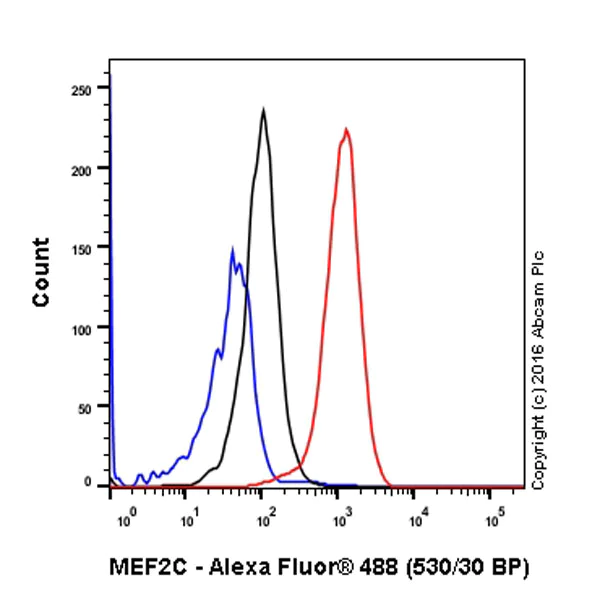 Flow Cytometry (Intracellular) - Anti-MEF2A + MEF2C antibody [EPR19089-34] - BSA and Azide free (AB238446)