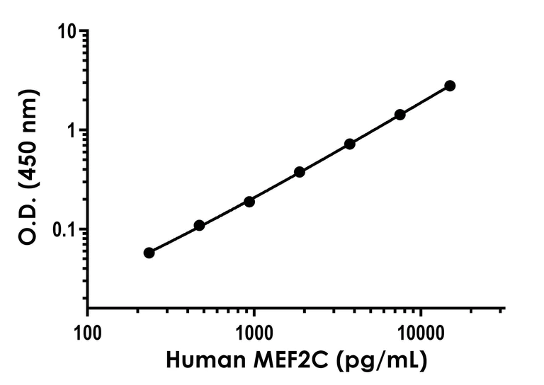 Sandwich ELISA - Anti-MEF2A + MEF2C antibody [EPR19089-34] - BSA and Azide free (Detector) (AB282242)