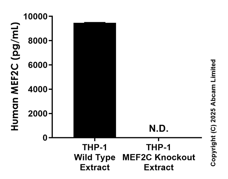 Sandwich ELISA - Anti-MEF2A + MEF2C antibody [EPR19089-34] - BSA and Azide free (Detector) (AB282242)