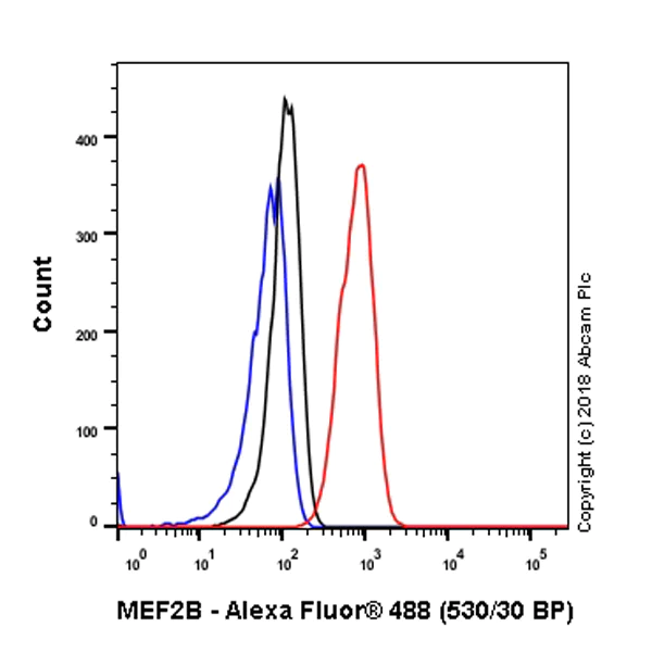 Flow Cytometry (Intracellular) - Anti-MEF2B antibody [EPR22193-26] - BSA and Azide free (AB242347)