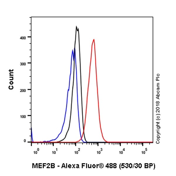 Flow Cytometry (Intracellular) - Anti-MEF2B antibody [EPR22193-78] (AB242059)