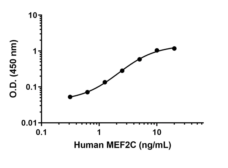 Sandwich ELISA - Anti-MEF2C antibody [EPR19089-202] - BSA and Azide free (Capture) (AB309199)