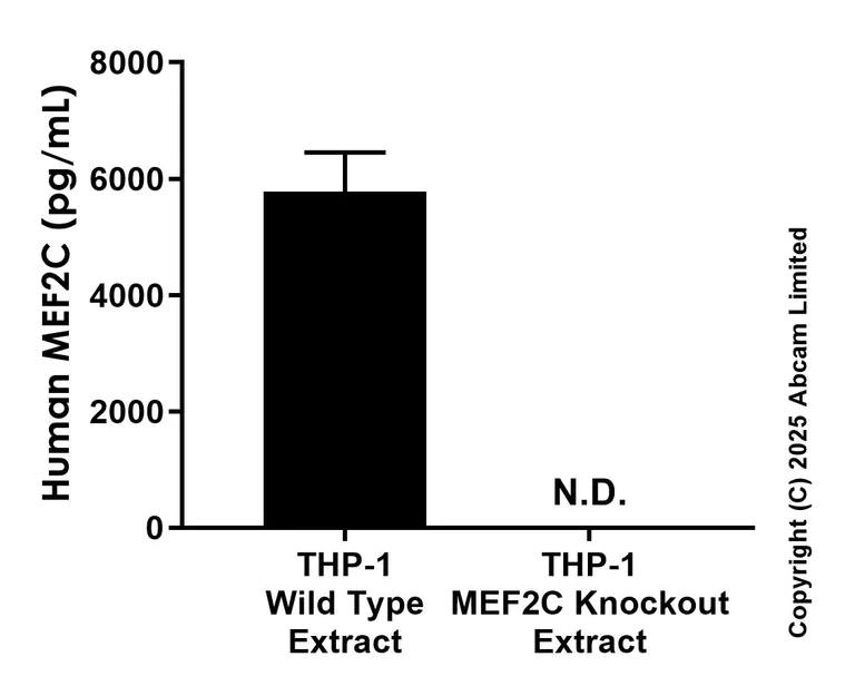 Sandwich ELISA - Anti-MEF2C antibody [EPR19089-202] - BSA and Azide free (Capture) (AB309199)