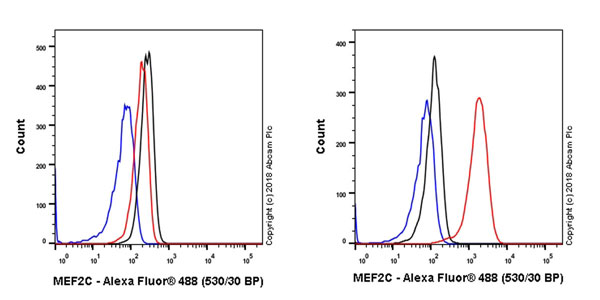 Flow Cytometry (Intracellular) - Anti-MEF2C antibody [EPR19089-202] - ChIP Grade (AB211493), expandable thumbnail