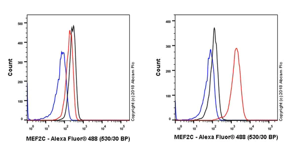Flow Cytometry (Intracellular) - Anti-MEF2C antibody [EPR19089-202] - ChIP Grade (AB211493)