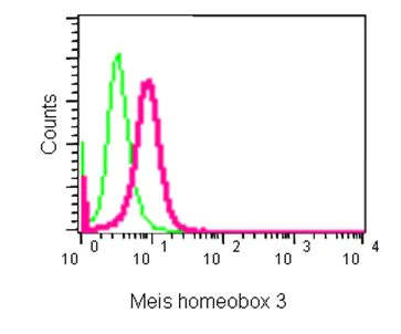 Flow Cytometry (Intracellular) - Anti-Meis homeobox 3/MEIS3 antibody [EPR15416] (AB185961)