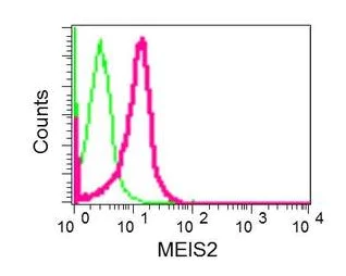 Flow Cytometry (Intracellular) - Anti-MEIS2 antibody [EPR12100] - BSA and Azide free (AB249781)