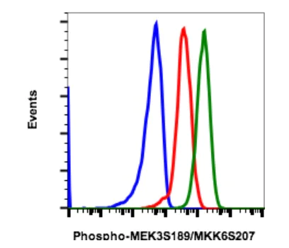 Flow Cytometry - Anti-MEK 3 (phospho S189) + MKK6 (phospho S207) antibody [MKK3S189MKK6S207-D3] (AB278716)