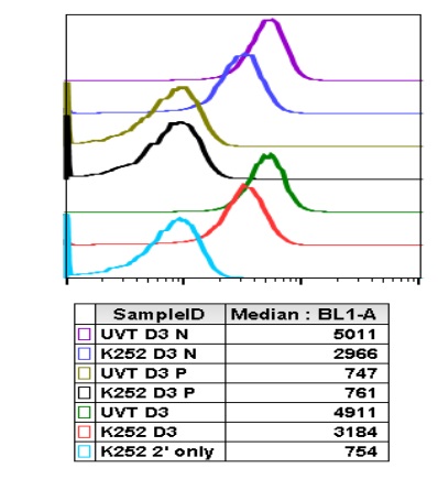 Flow Cytometry - Anti-MEK 3 (phospho S189) + MKK6 (phospho S207) antibody [MKK3S189MKK6S207-D3] (AB278716), expandable thumbnail