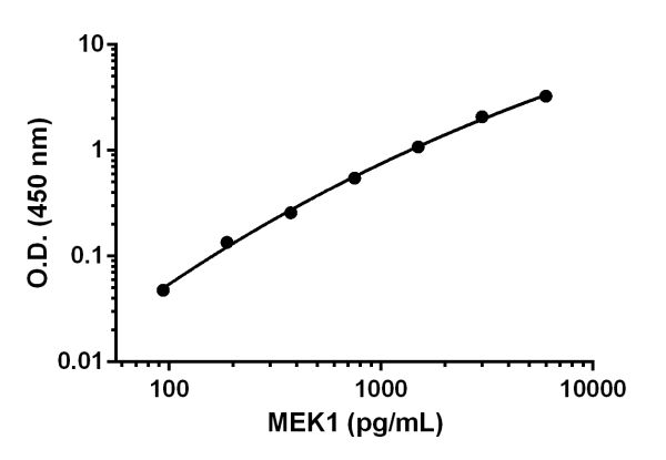 Sandwich ELISA - Anti-MEK1 antibody [EPR16667] - BSA and Azide free (Capture) (AB242615)