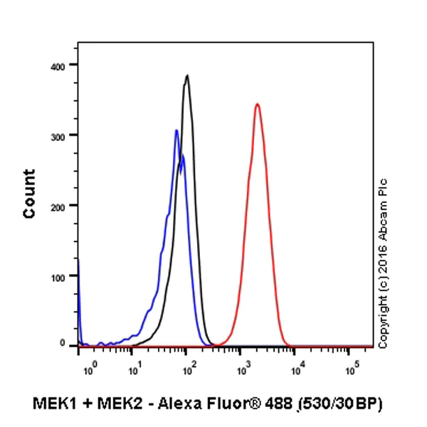 Flow Cytometry (Intracellular) - Anti-MEK1 + MEK2 antibody [EPR16667] - BSA and Azide free (AB215263)