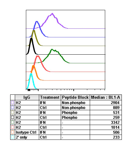 Flow Cytometry - Anti-MEK1 + MEK2 (phospho S218 + S222) antibody [MEK12S217S221-H2] (AB278723)
