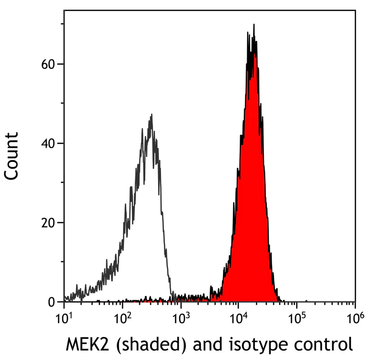 Flow Cytometry - Anti-MEK2 antibody [BLR079G] (AB265586)