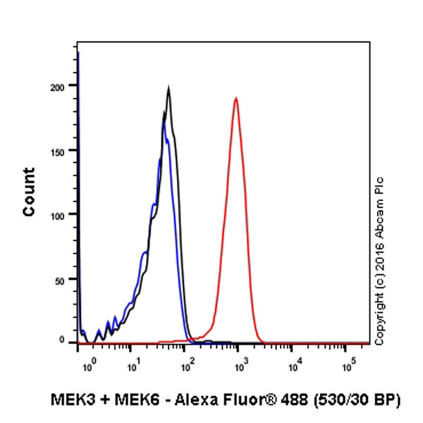 Flow Cytometry (Intracellular) - Anti-MEK3 + MEK6 antibody [EPR17340] (AB200831)