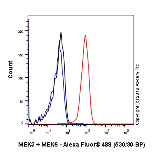 Flow Cytometry (Intracellular) - Anti-MEK3 + MEK6 antibody [EPR17340] - BSA and Azide free (AB251322)