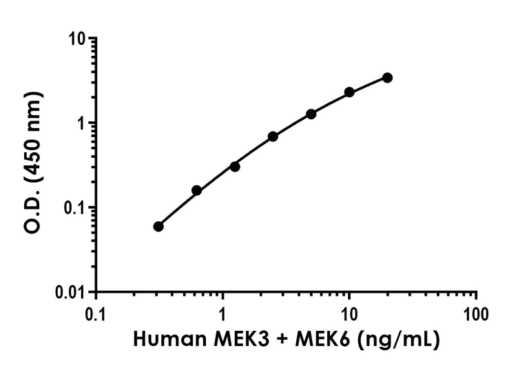 Sandwich ELISA - Anti-MEK3 + MEK6 antibody [EPR17340] - BSA and Azide free (Capture) (AB242671)
